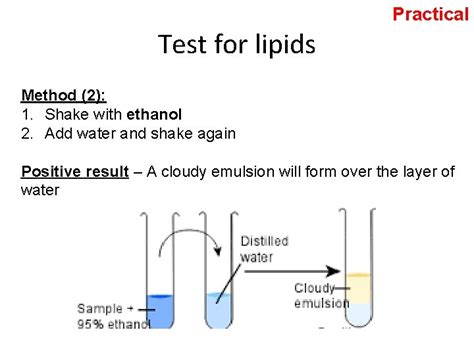 ethanol test for lipids|2.9 Practical: Food Tests .